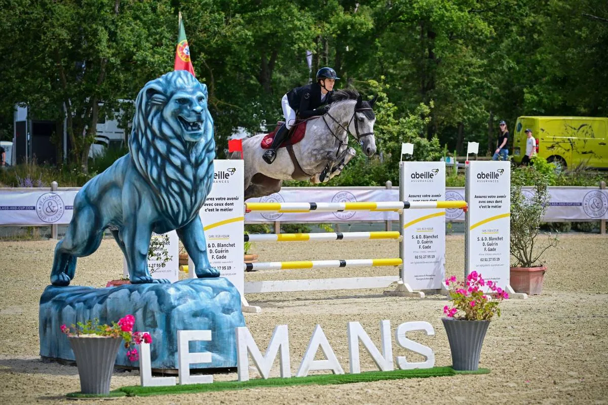 Cavalier à l'obstacle sur un concours au Mans