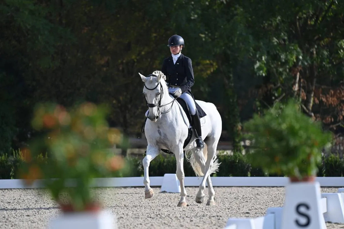 Cavalière et cheval noir en reprise de dressage