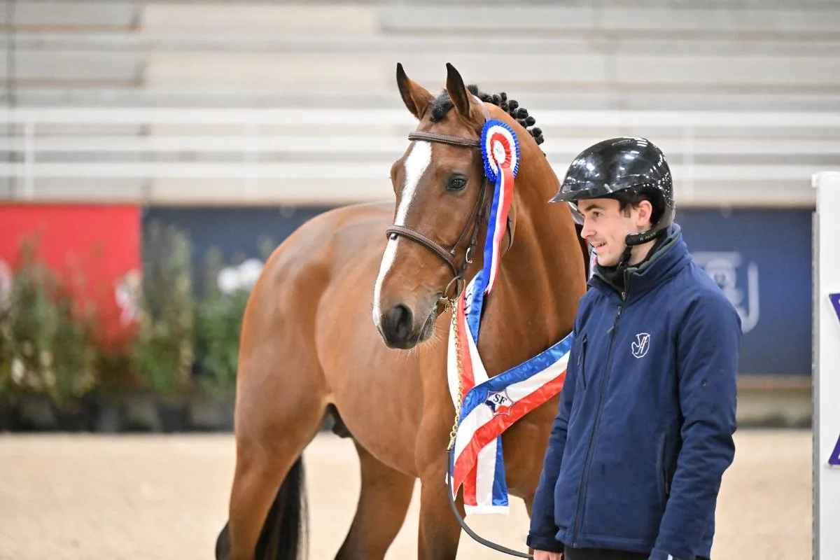 Jeune cheval au galop dans un pré
