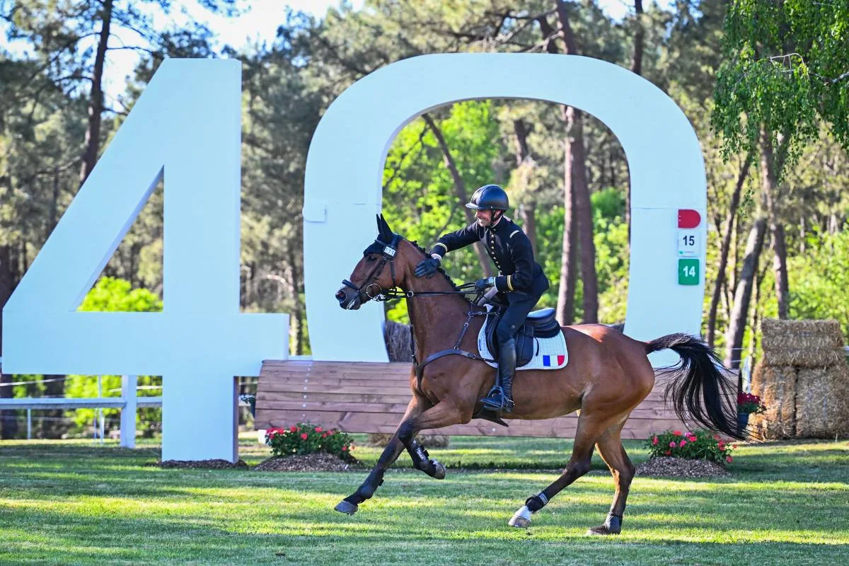 Cavalier au galop sur un parcours de cross