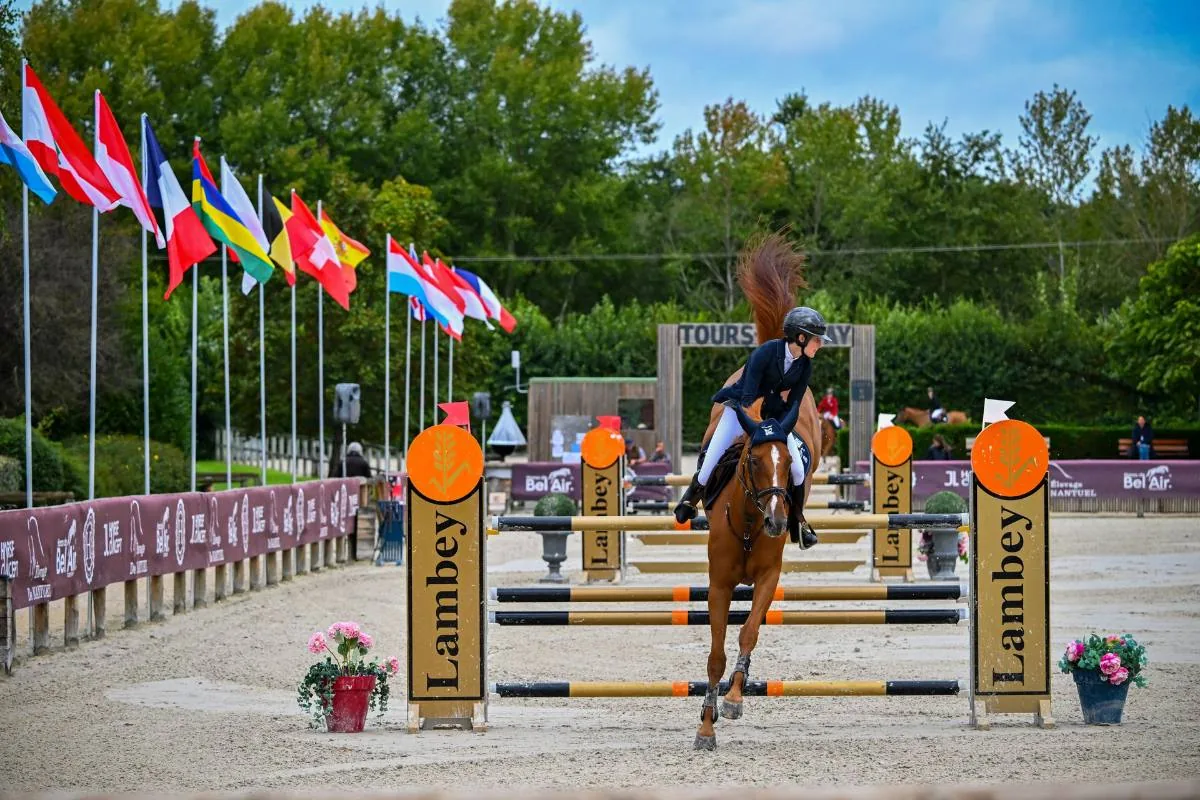 Cheval alezan à l'obstacle en concours de saut